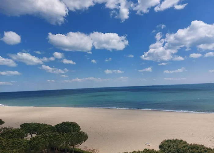 T2 Renove, Proche Et Commerces, Balcon, Parking, Accepte Petits Animaux - Fr-1-776-56 *